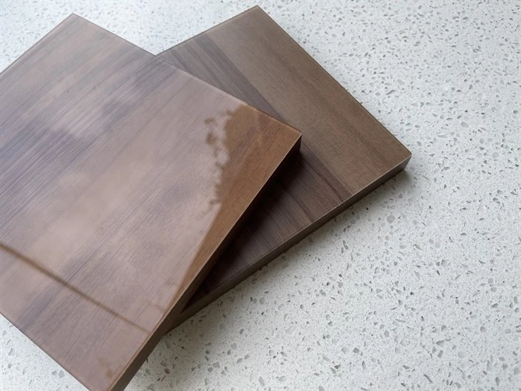 Wood Grain 2mm Glass Front Cabinet Door (4)