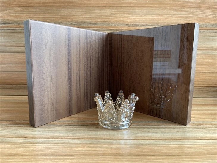 Wood Grain 2mm Glass Front Cabinet Door (3)